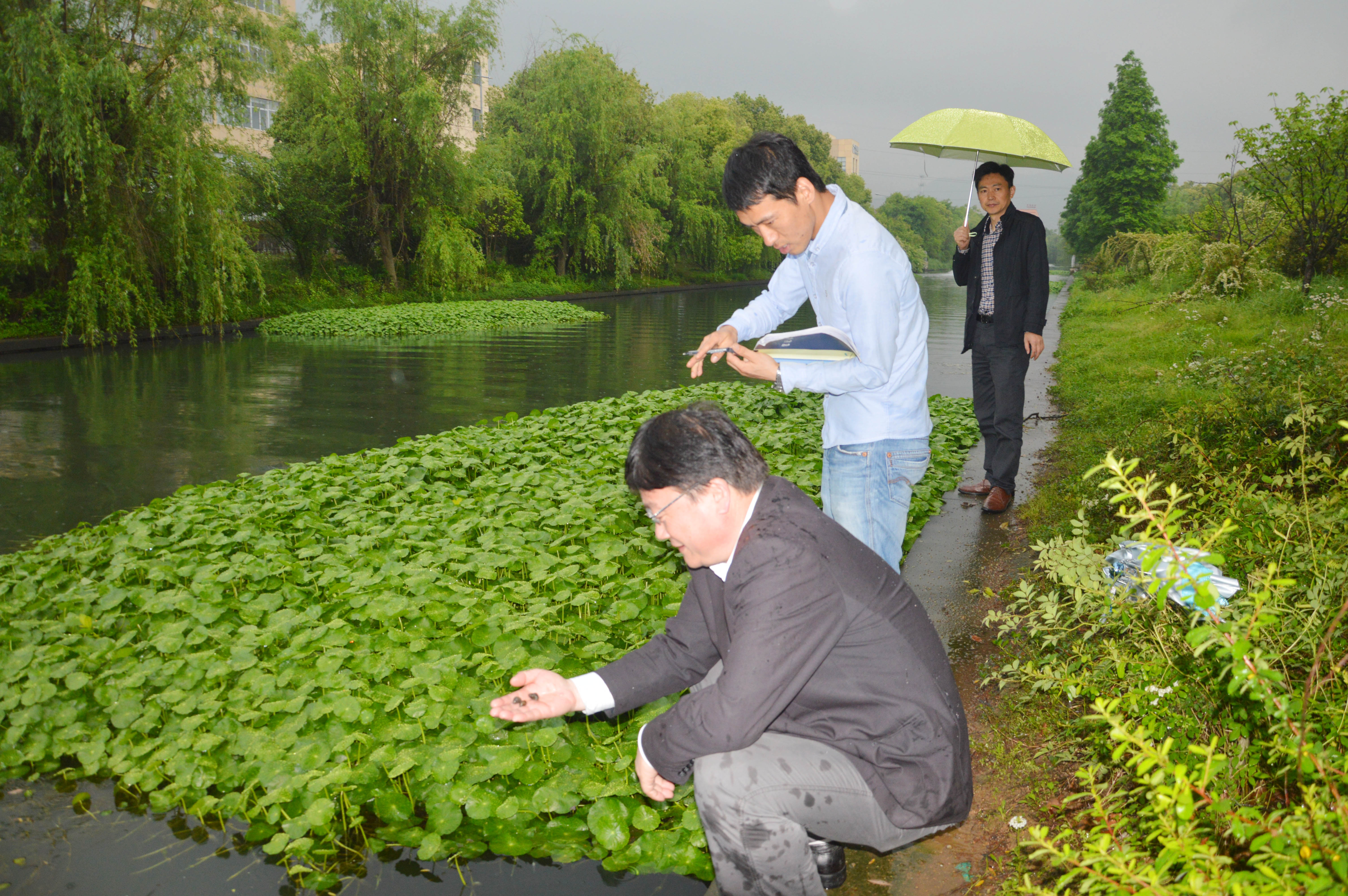 宁波日报追踪报道阿凡柯达水环境生态修复技术
